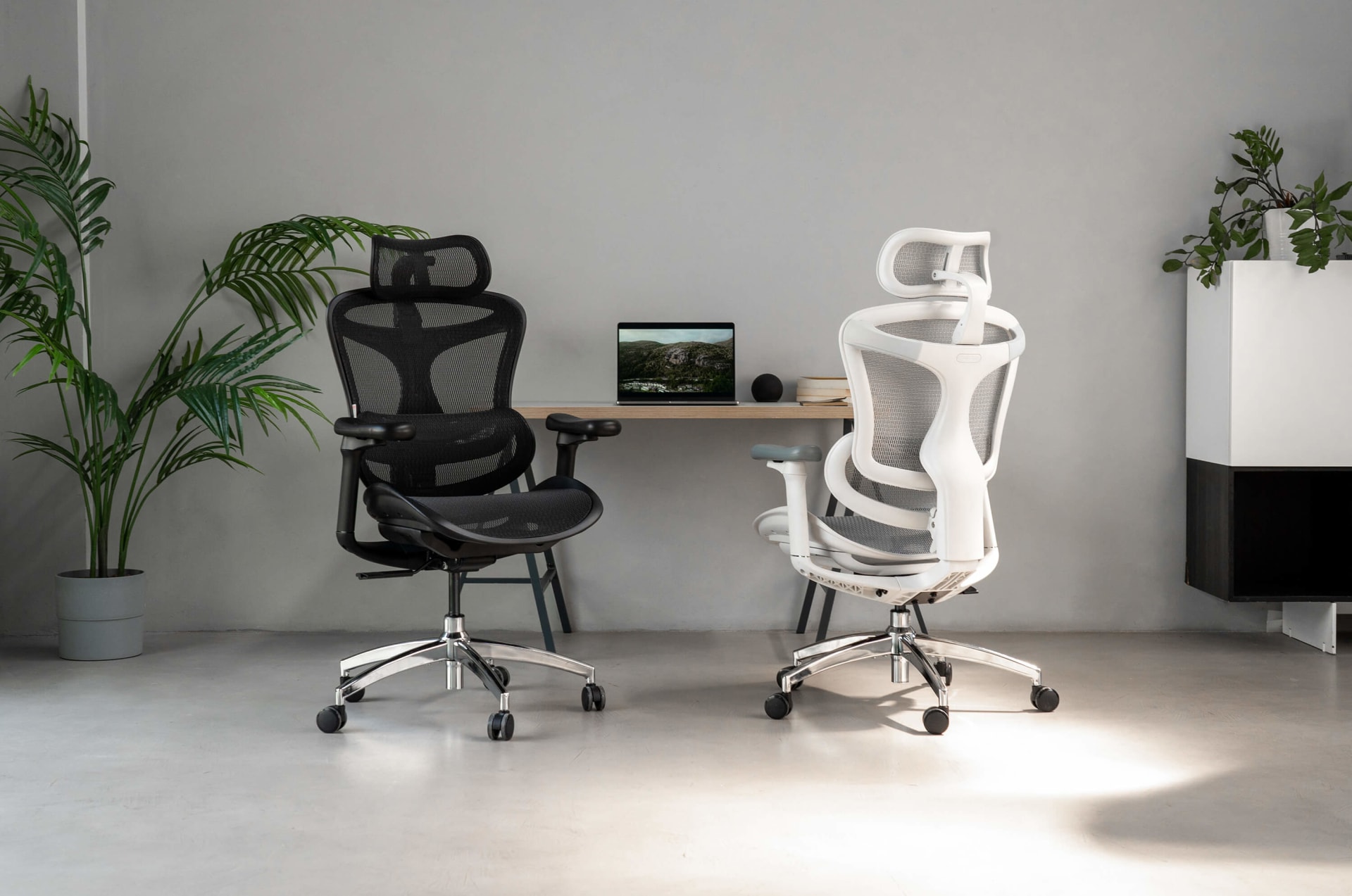 Sihoo ergonomic chair black and white color